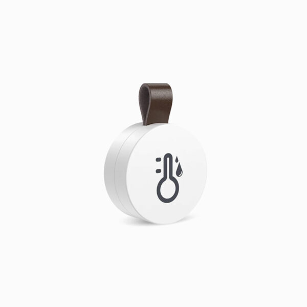 Smart Sensor 1 Piece Wireless